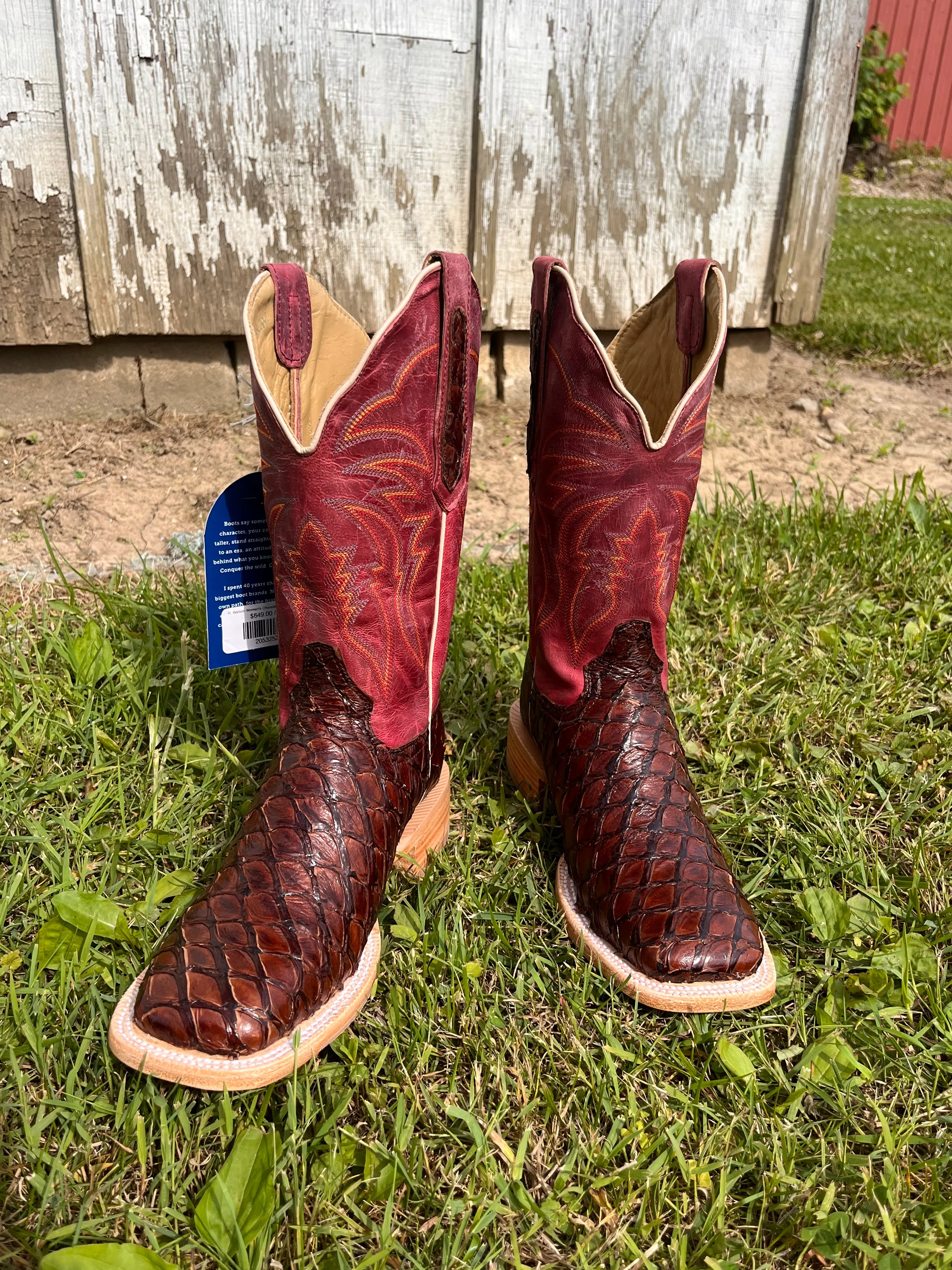 R. Watson Women's Chocolate Pirarucu Big Bass Square Toe Western Cowgirl Boots RWL7800-2
